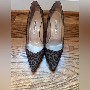 Manolo Blahnik BB Pumps- Leopard Suede